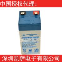 Power-Sonic 密封鉛酸電池 PS-445