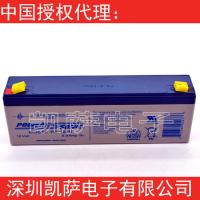 Power-Sonic密封鉛酸電池PS-1229原裝正品現(xiàn)貨庫存