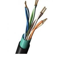 百通電纜   2413 010U1000  美國線規(guī) 24 AWG